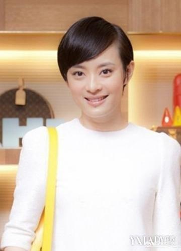 孙俪与流浪狗的故事:你和小狗有故事吗？可以分享一下吗？