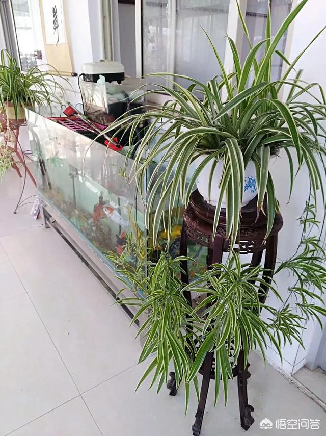 有没有真正让房屋湿润的办法？