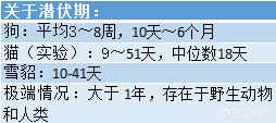 犬弓形虫病例:有没有被狗猫抓咬后动物没事，人得狂犬病的病例？