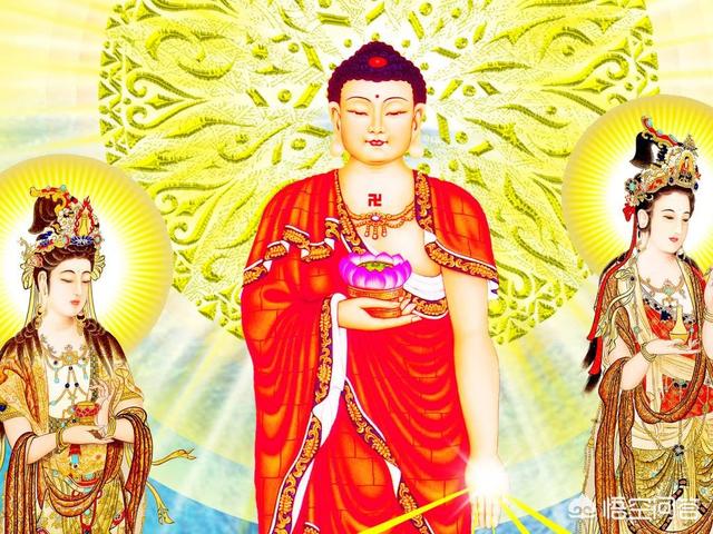 哈辉的前任丈夫:丧偶再婚后，去世的时候你认为应该与哪一任妻子（或丈夫）合葬？