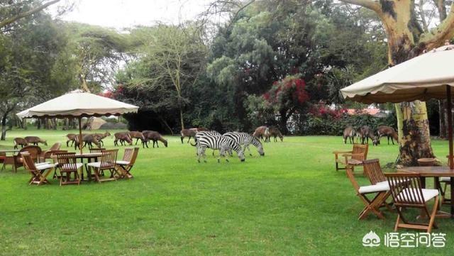 去肯尼亚旅游，去哪里比较好？