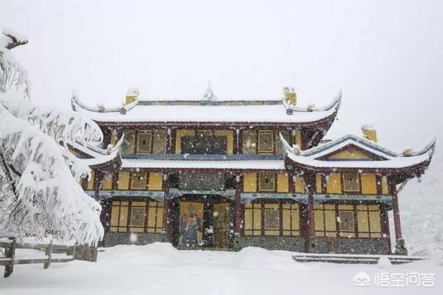 四川发现一条幼龙图片，黄龙风景名胜区有哪些值得游玩的景点