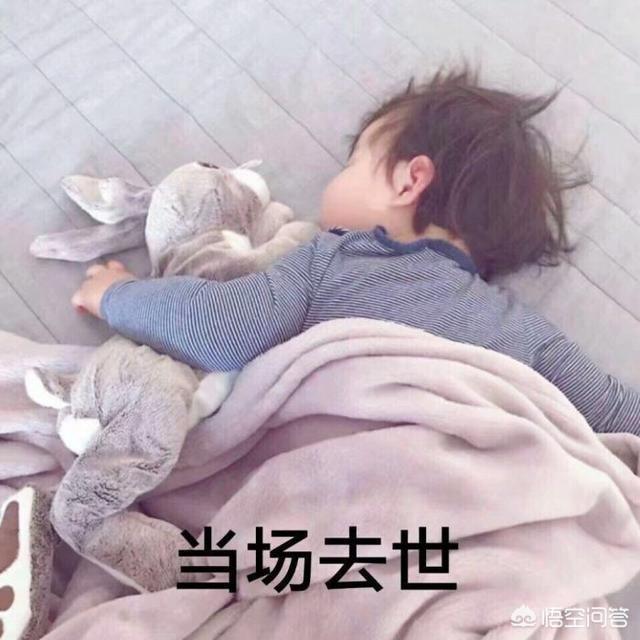 《红楼梦》你喜欢王熙凤吗？