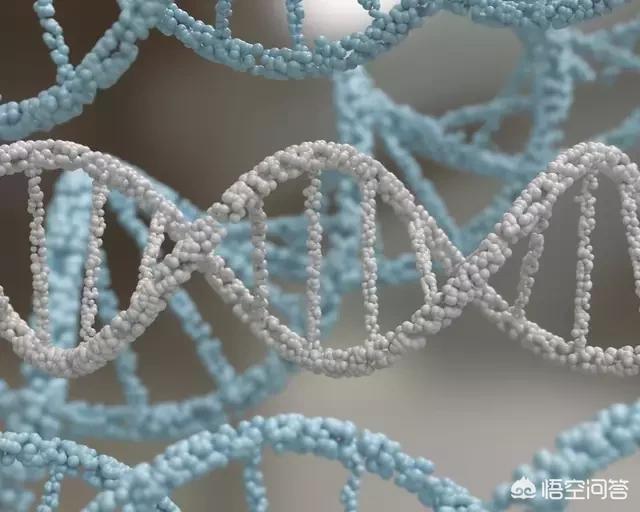世界上有没有外星人？你是如何看待外星人的？