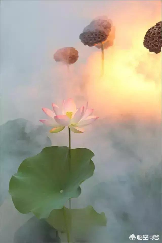 怎么在课件里将孔子开创的儒家学派的核心思想做出重点体现？