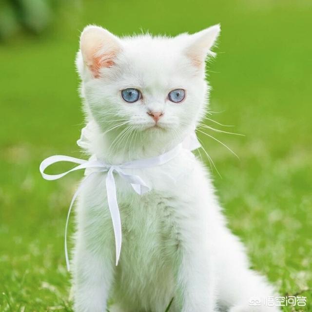 想离婚却不舍得,怎么办？