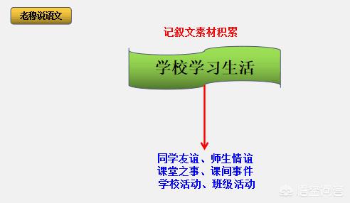 林舒语:中小学生的作文素材，有什么方法积累吗？