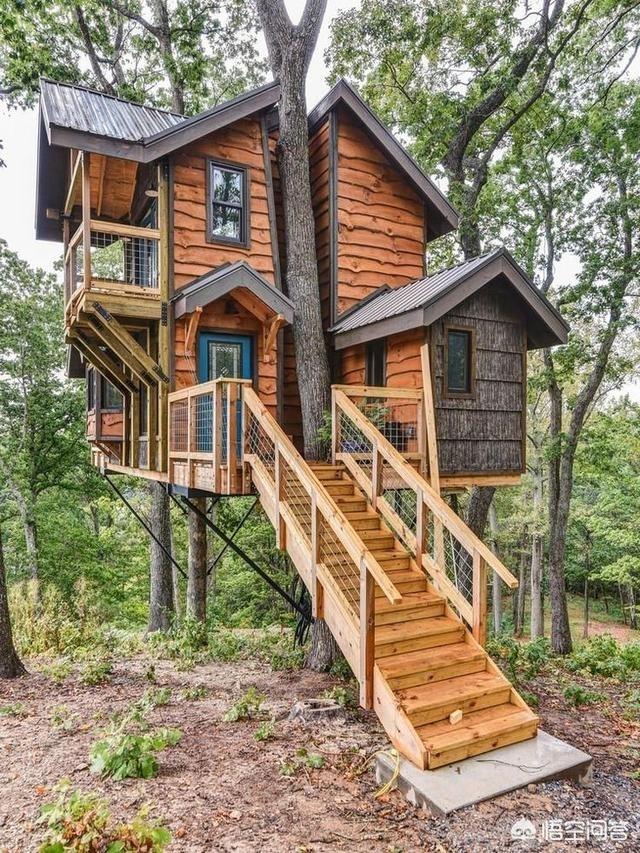 头条问答 - 我想在国家5a级景区里面搭建个顶级树屋酒店,大家有没有好