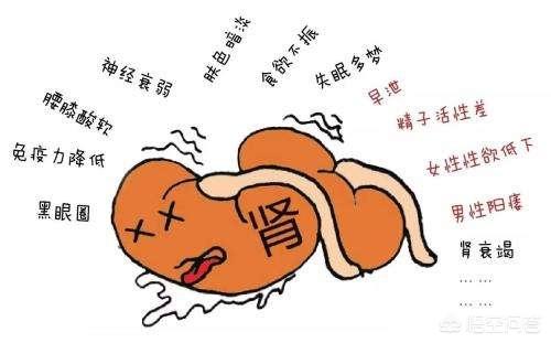长期吃补肾药有哪些弊端？