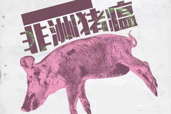 河北罗威纳论坛买卖:想从河北带点猪肉回四川，听说路上查到要没收，是真的吗？