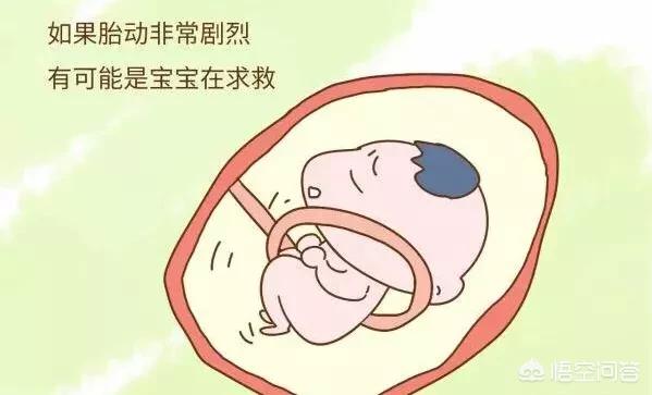 怀孕39周 胎儿动得比较厉害 会有问题吗 悟空问答