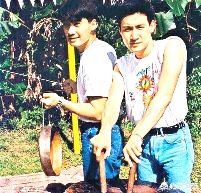 黎明电影:在天王黎明最巅峰的影视剧作品中，你觉得哪些最经典？