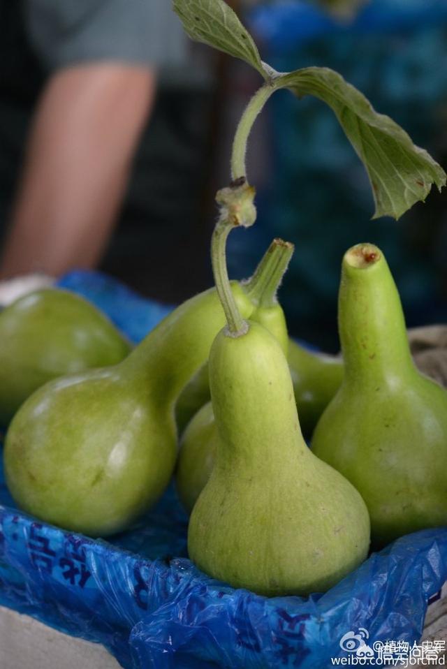 秦始皇时代的人们都吃些什么？主食蔬菜是如何烹饪的？插图41