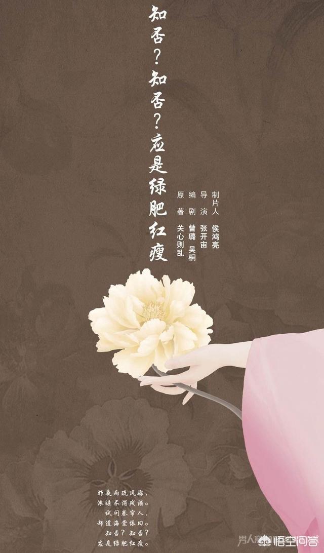 刘楚恬父母:如何评价赵丽颖的最新电视剧《知否，知否，应是绿肥红瘦》