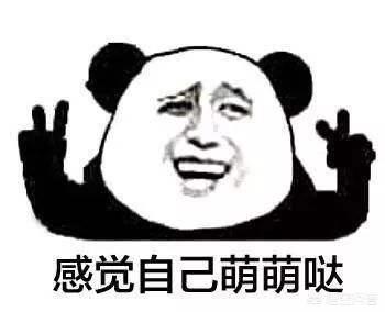 张译陈思成:2021年5月20日，佟丽娅陈思诚官宣离婚，他们不是真爱吗
