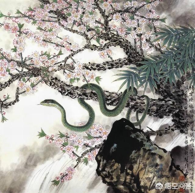 水蚺蛇图片:擅长国画的画家有专门画蛇的吗？你见过画蛇的国画作品吗？
