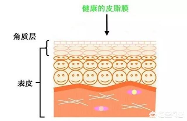 田永成隆鼻:皮肤长斑与肌肤缺水有关吗