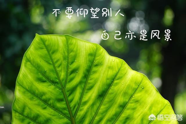 <a href=https://maguai.com/list/256-0-0.html target=_blank class=infotextkey><a href=https://maguai.com/list/256-0-0.html target=_blank class=infotextkey>朋友圈</a></a>图片配图:有哪些适合发<a href=https://maguai.com/list/256-0-0.html target=_blank class=infotextkey><a href=https://maguai.com/list/256-0-0.html target=_blank class=infotextkey>朋友圈</a></a>的带图片句子？