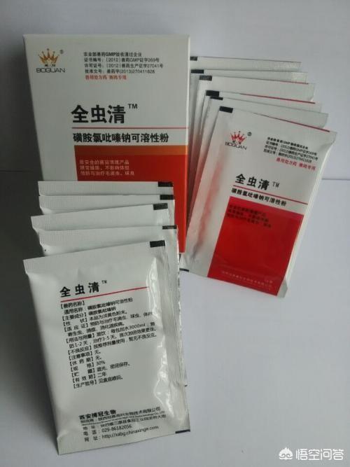 中华雀鸟论坛之画眉鸟永远绝杀:画眉鸟老是啄自己的翅膀是怎么回事？