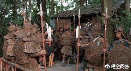 陆良狮子头藏獒出虫:藤甲兵那么厉害，诸葛亮为什么后来不再组建一支？