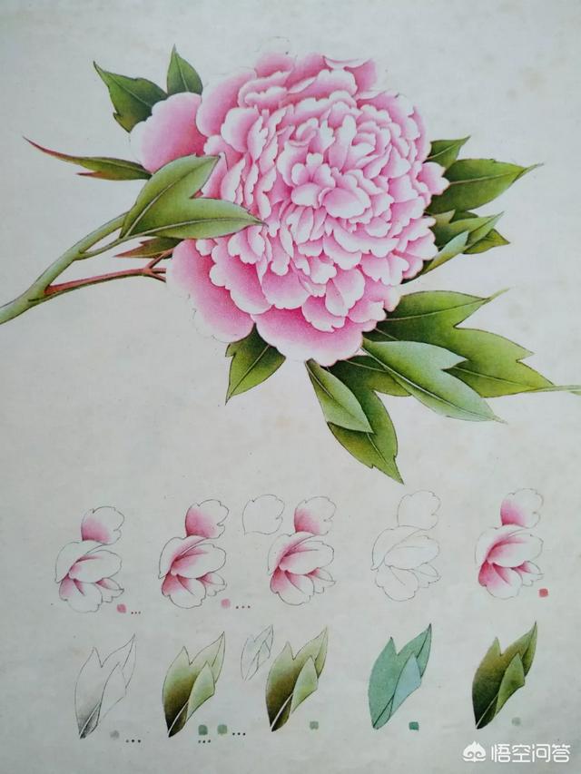 工笔花鸟:工笔是什么技法？该怎么练习？ 工笔花鸟画