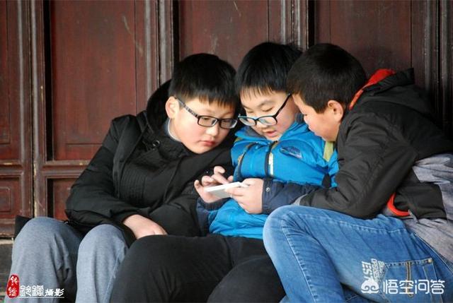 这个寒假,你准备为孩子报几个补习班？花多少钱？
