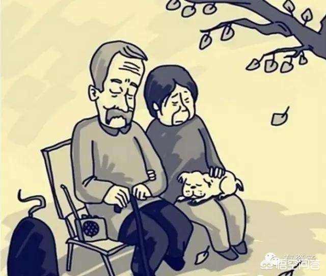 过年回家,多和亲人说说话,拉拉家常,别再让手机"冷落"了亲情?