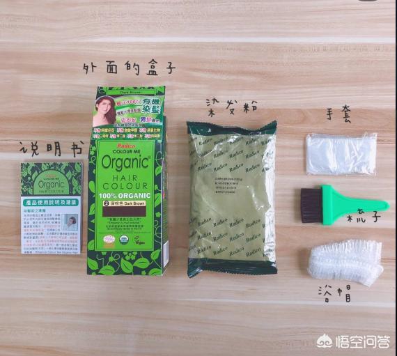 柔软华?柔软华食用菌