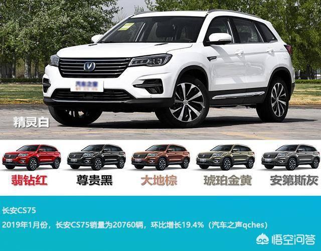 十万以下,有什么家用suv推荐？