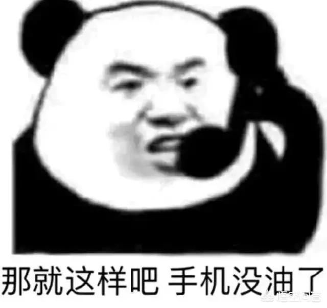 广州市亚鹏宠物用品厂怎么样:在广州开宠物加盟店有前景吗？