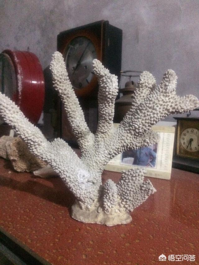 阿拉善彩玉手镯,请问玩石行家，这是什么石种？