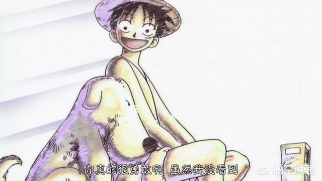 海贼王里面的红鼻子是什么动物:《海贼王》你认为最特别的一个海贼是谁？