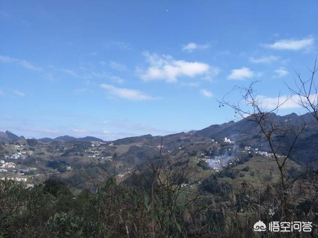 我决定简单地<a href=https://maguai.com/list/55-0-0.html target=_blank class=infotextkey><a href=https://maguai.com/list/55-0-0.html target=_blank class=infotextkey>生活</a></a>:我对<a href=https://maguai.com/list/55-0-0.html target=_blank class=infotextkey><a href=https://maguai.com/list/55-0-0.html target=_blank class=infotextkey>生活</a></a>没有渴望了怎么办？