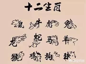 曼克斯猫来历:在古代，猫在人们心中的地位是怎样的？