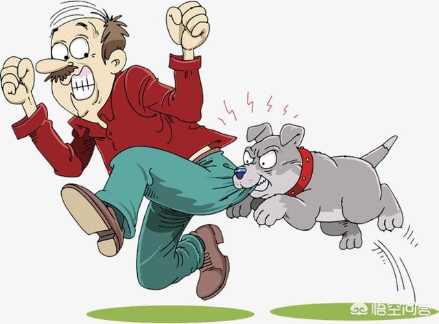 k9工作犬论坛:“男子打死咬伤女友的狗却被抓”，你觉得有道理吗？