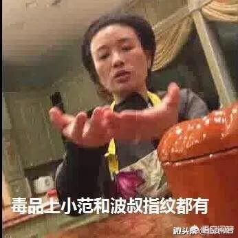 周立波还可以在浙江卫视做节目吗？