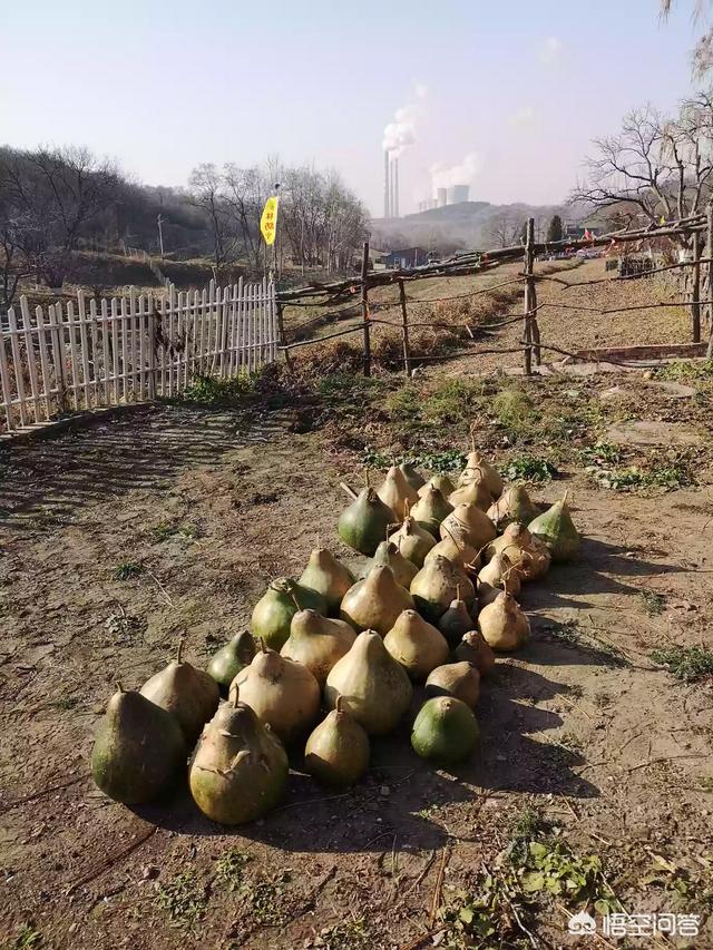想创业但是没有项目,怎么办呢？