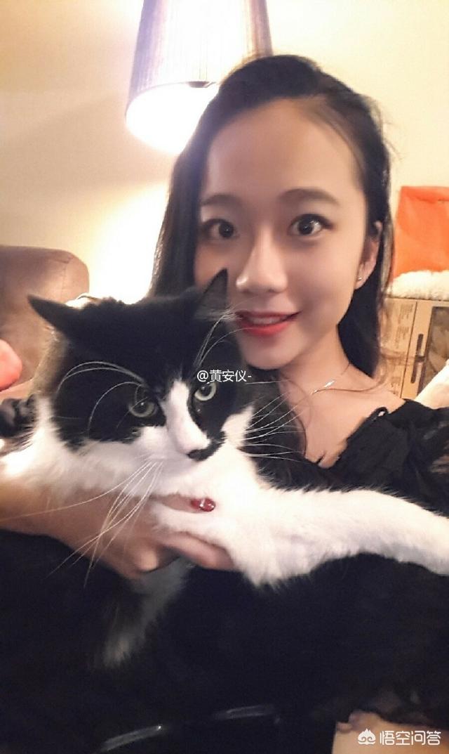 黄安仪事件:黄安被网友道德绑架捐款的事情你怎么看