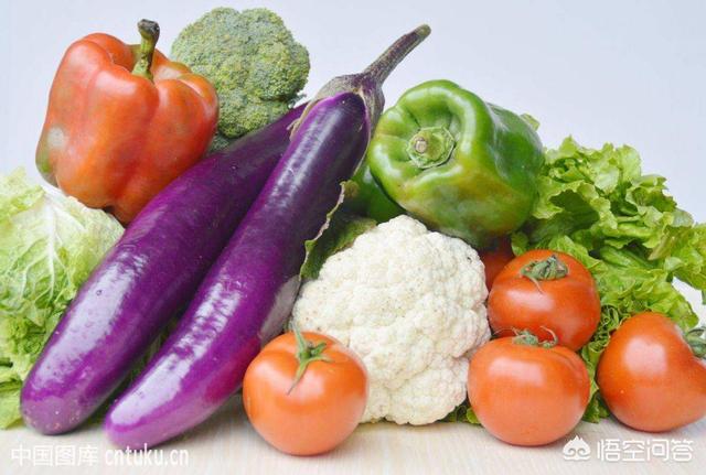哪个品种的蔬菜含有脂肪较多、热量较高？
