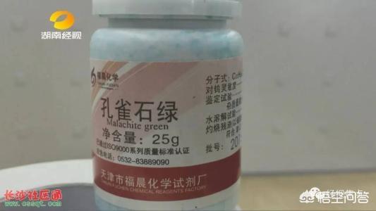 锦鲤鱼吃什么药:养鱼的高手来帮我看看我的锦鲤怎么了？