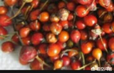 头条问答 刚采摘的蔷薇种子 怎么保存 什么时间播种 帅山农的回答 0赞