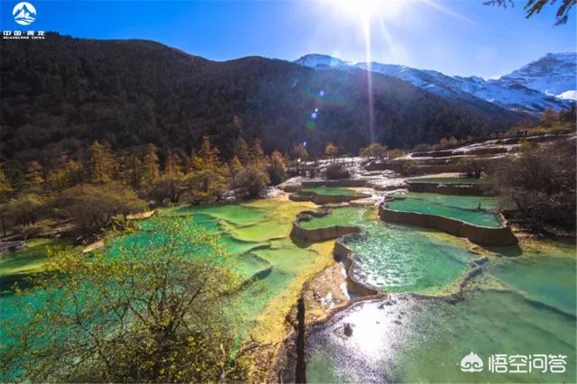 四川发现一条幼龙图片，黄龙风景名胜区有哪些值得游玩的景点