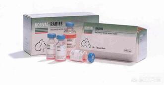 真假英特威疫苗辨认:英特威犬用疫苗为什么有两种？