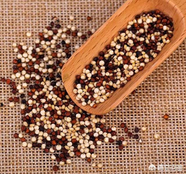 藜麦为什么被有人称为网红减肥食品？藜麦是什么,有哪些营养价值？