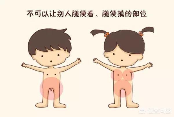 苏珊与狗狗在线观看:你觉得性教育有没有必要？