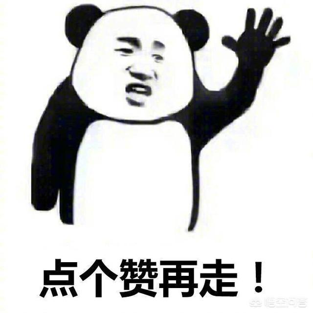 (沙雕网友587的回答,0赞)