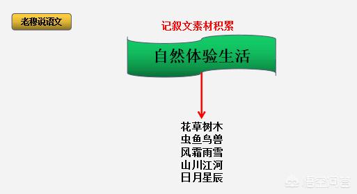 林舒语:中小学生的作文素材，有什么方法积累吗？