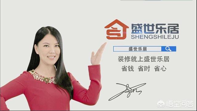 李湘简历:主持人李湘现在的收入来源是什么？