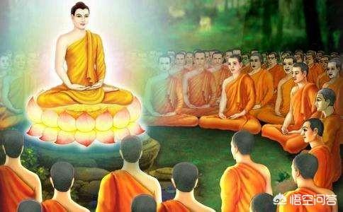 佛教如何对待害虫，佛教信徒是如何看待善恶问题？