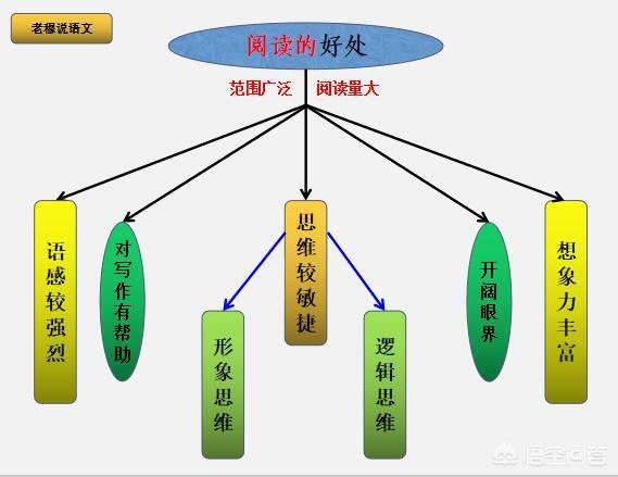 孩子喜欢阅读，但是语文阅读和作文的成绩一直不好，这是怎么回事